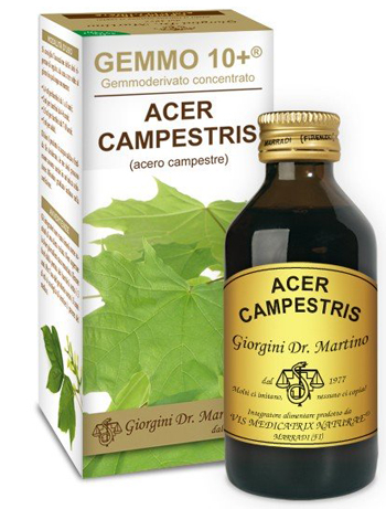 GEMMO 10+ ACERO CAMPESTRE 100 ML LIQUIDO ANALCOLICO - pharmaonline24.it