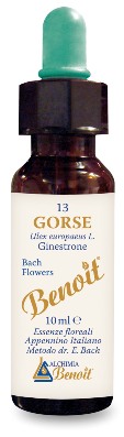 FIORI DI BACH BENOIT GORSE 10 ML - pharmaonline24.it