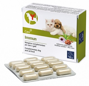 IMMUN 60 COMPRESSE - pharmaonline24.it