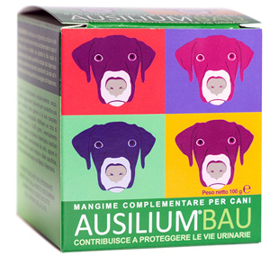 AUSILIUM BAU 100 G - pharmaonline24.it