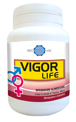 VIGOR LIFE 40 CAPSULE - pharmaonline24.it