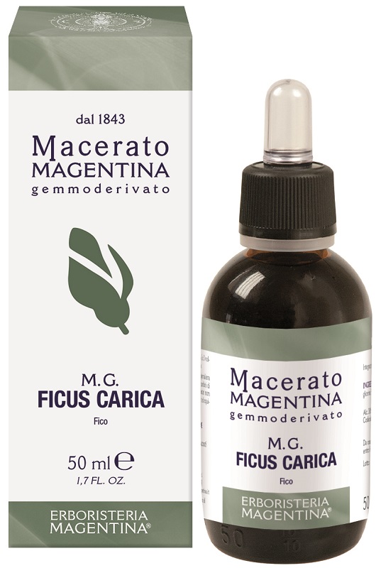 FICUS CARICA MACERATO MAGENTINA 50 ML - pharmaonline24.it