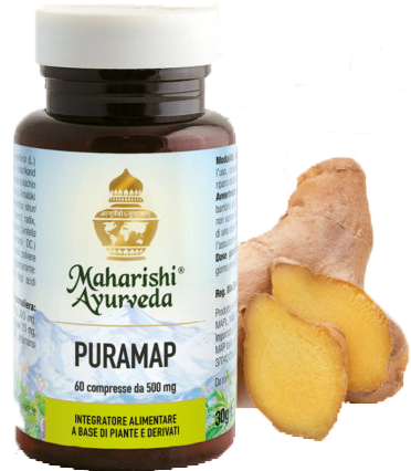 PURAMAP 60 COMPRESSE - pharmaonline24.it