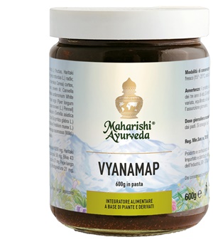 VYANAMAP PASTA 600 G - pharmaonline24.it
