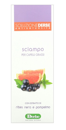 DERBE SHAMPOO ANTI UNTUOSITA' 200 ML - pharmaonline24.it
