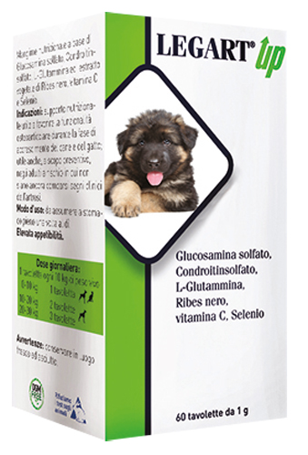 LEGART UP 60 COMPRESSE DA 1 G - pharmaonline24.it