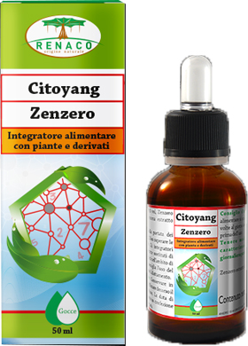 CITOYANG ZENZERO GOCCE FLACONCINO 50 ML - pharmaonline24.it