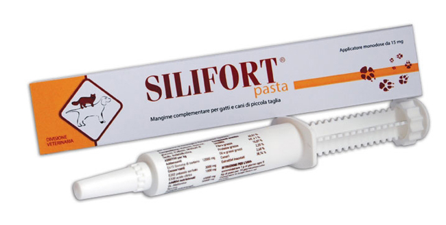 SILIFORT PASTA OS SIRINGA 30 G - pharmaonline24.it