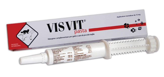 VISVIT PASTA OS SIRINGA 15 G - pharmaonline24.it