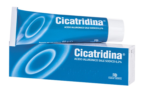 CICATRIDINA POMATA 60 G - pharmaonline24.it