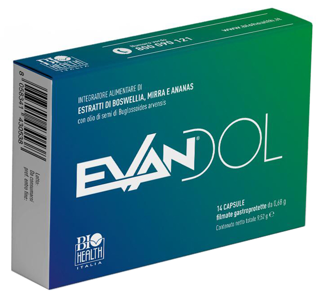 EVANDOL 14 CAPSULE - pharmaonline24.it