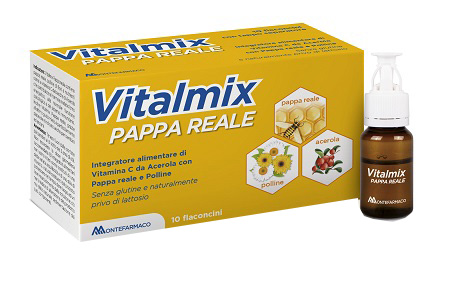 VITALMIX PAPPA REALE 10FLACONCINI X10 ML S/GL - pharmaonline24.it