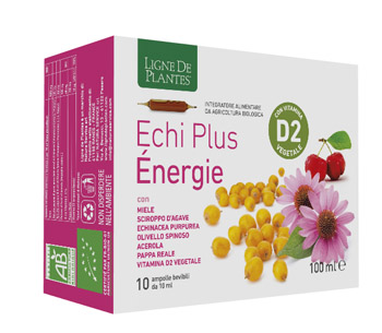ECHI PLUS ENERGIE 10 AMPOLLE DA 10 ML - pharmaonline24.it