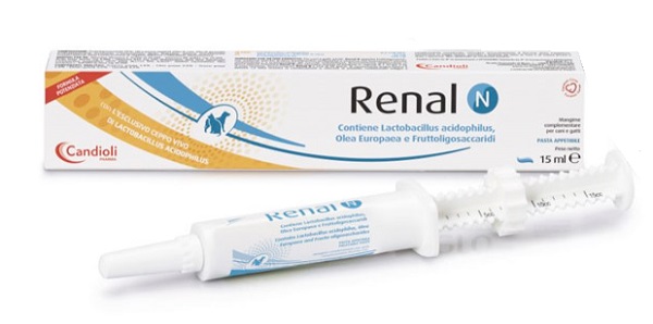 RENAL N PASTA SIRINGA DOSATRICE 15 ML - pharmaonline24.it