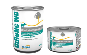 DIRENE WD 400 G - pharmaonline24.it