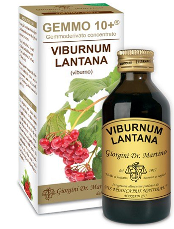 VIBURNO LIQUIDO ANALCOLICO GEMMO 10+ 100 ML - pharmaonline24.it