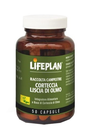 CORTECCIA LISCIA DI OLMO 50 CAPSULE - pharmaonline24.it