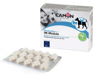 IMMODULA 60 COMPRESSE - pharmaonline24.it