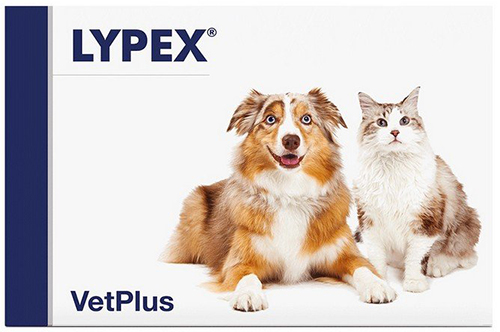 LYPEX 60 CAPSULE - pharmaonline24.it