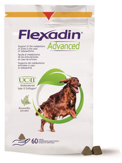 FLEXADIN ADVANCED CANE TUTTE LE TAGLIE 60 TAVOLETTE APPETIBILI - pharmaonline24.it