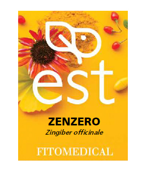 ZENZERO ESTRATTO SECCO 60 TAVOLETTE - pharmaonline24.it