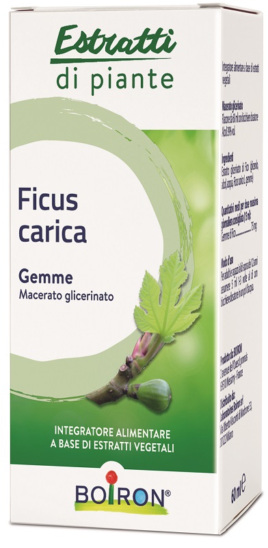 FICUS CARICA BOIRON MACERATO GLICERICO 60 ML - pharmaonline24.it