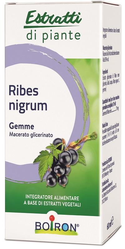 RIBES NIGRUM BOIRON MACERATO GLICERICO 60 ML - pharmaonline24.it