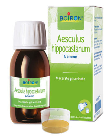 AESCULUS HIPP BOIRON MACERATO GLICERICO 60 ML - pharmaonline24.it
