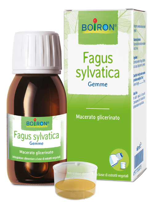 FAGUS SYLVATICA BOIRON MACERATO GLICERICO 60 ML - pharmaonline24.it