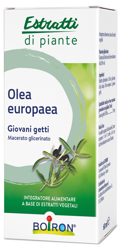 OLEA EUROPAEA BOIRON MACERATO GLICERICO 60 ML - pharmaonline24.it