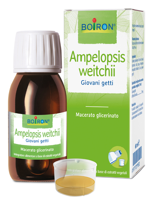 AMPELOPSIS WESTRATTO IDROALCOLICO BOIRON MACERATO GLICERICO 60 ML - pharmaonline24.it