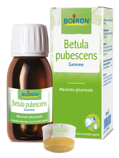 BETULA PUBESC BOIRON MACERATO GLICERICO 60 ML - pharmaonline24.it