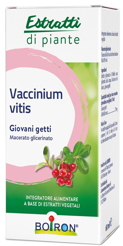 VACCINIUM VITIS MACERATO GLICERICO 60 ML - pharmaonline24.it