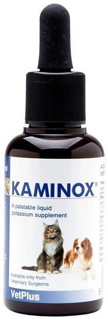 KAMINOX SCIROPPO 60 ML - pharmaonline24.it