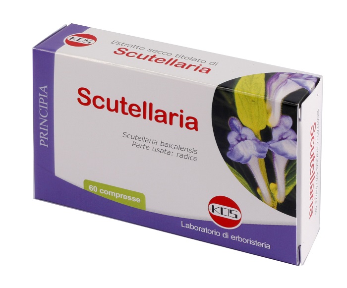 SCUTELLARIA ESTRATTO SECCO 60 COMPRESSE - pharmaonline24.it
