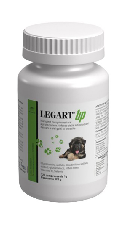 LEGART UP 120 COMPRESSE - pharmaonline24.it