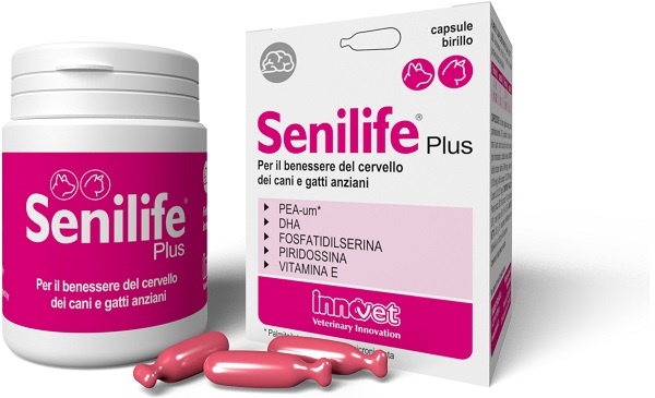 SENILIFE PLUS 60 CAPSULE - pharmaonline24.it