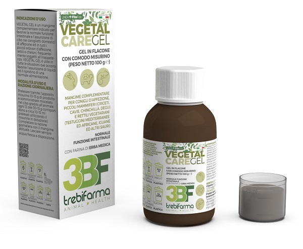 VEGETAL CARE GEL FLACONE 100 G - pharmaonline24.it