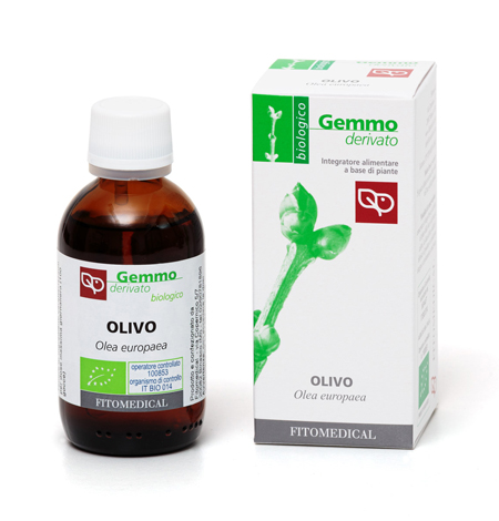 OLIVO MACERATO GLICERICO 50 ML BIO - pharmaonline24.it
