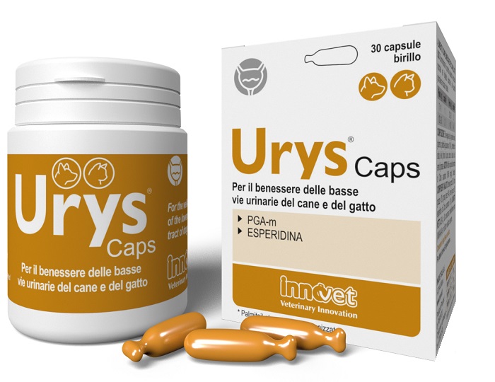 URYS CAPS 30 CAPSULE - pharmaonline24.it