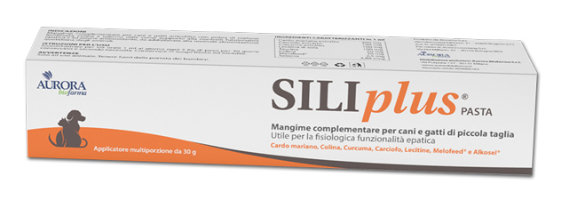 SILIPLUS PASTA 30 G - pharmaonline24.it