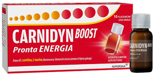 CARNIDYN BOOST 10 FLACONCINI - pharmaonline24.it