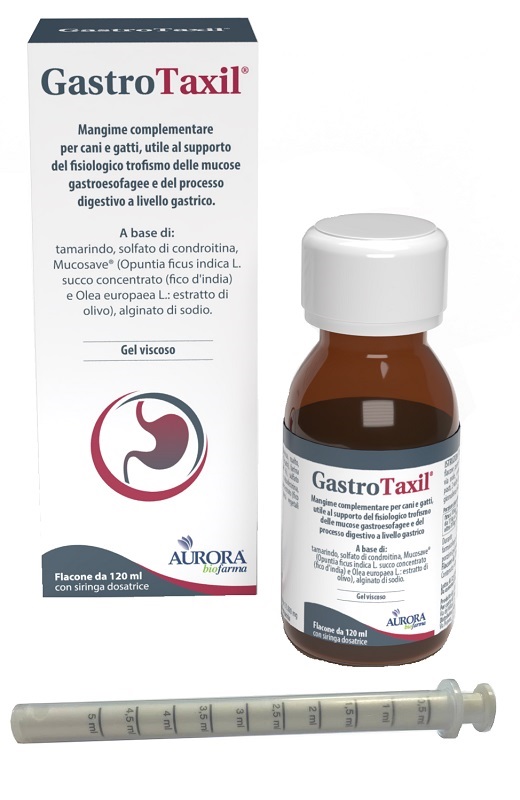 GASTROTAXIL 120 ML - pharmaonline24.it